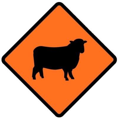 ROAD SIGN STOCK SHEEP