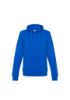 Picture of LADIES CREW HOODIE