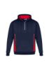 Picture of ADULTS RENEGADE HOODIE