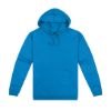 Picture of HSI KIDS 300 PULLOVER HOODIE