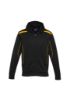 Picture of KIDS UNITED HOODIE