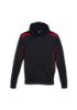 Picture of KIDS UNITED HOODIE