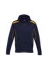 Picture of KIDS UNITED HOODIE