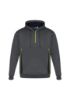 Picture of ADULTS RENEGADE HOODIE